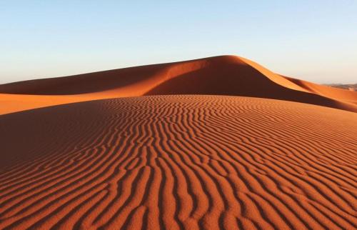 Desert galaxy camp Jaisalmer – Photos 3