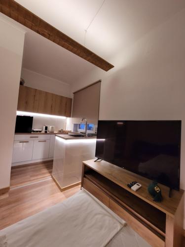 sala de estar con TV de pantalla plana grande en Boutique Athensairport Apartments, en Markopoulo