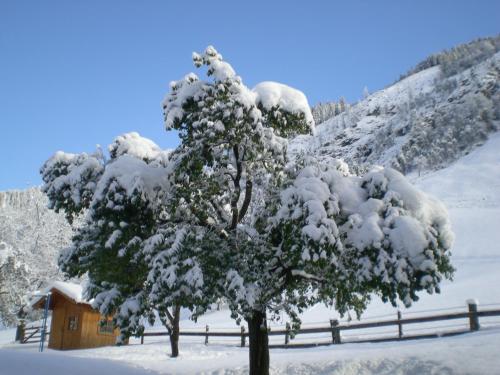 a snow covered tree in front of a cabin at Schiederhof in Mittersill