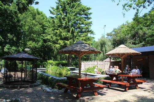 a group of picnic tables and umbrellas in a park at Vakantiepark Zevenbergen in Heesch