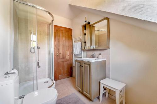 a bathroom with a toilet and a sink and a shower at Conacul Gaal Kuria in Dalnic