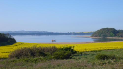 a boat in the water next to a rapeseed field at Vogelhaus Gobbin in Lancken-Granitz