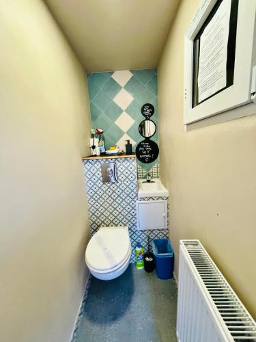 a small bathroom with a toilet in a room at Vila Montana Valiug in Văliug