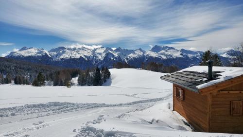 a cabin in the snow with a view of mountains at Baita Medil in Predazzo