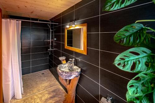 a bathroom with a shower with a sink and a mirror at Traditional Chalet with some luxurious features in Troistorrents