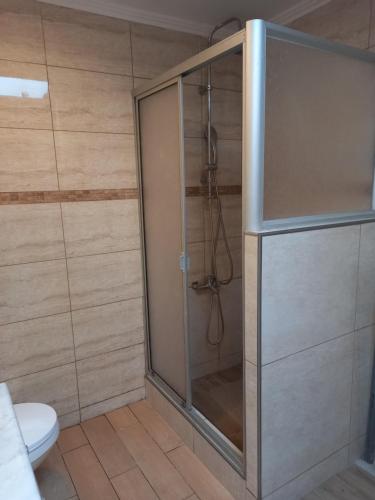 a shower stall in a bathroom with a toilet at Cabañas y Departamentos Las Palmas, Temuco Depto 2 in Temuco