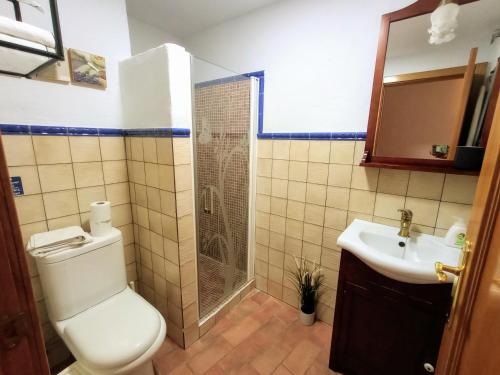 a bathroom with a toilet and a shower and a sink at Casa Jaruf CENTRO HISTÓRICO Parking Gratuito Patio petfriendly in Arcos de la Frontera