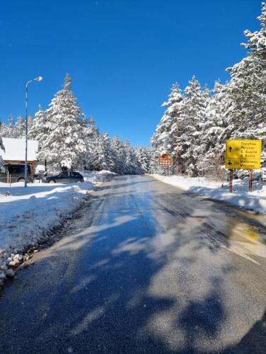 an empty road with snow covered trees on it at Rajska koliba in Kaludjerske Bare