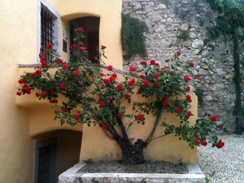 Gambar di galeri bagi Relais Palazzo Lodron di Rovereto