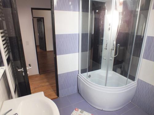 a bathroom with a shower and a toilet at Pensiunea Eliza in Podu Coşnii