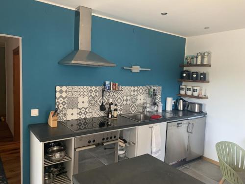 a kitchen with a sink and a blue wall at Draußen am See in Losheim