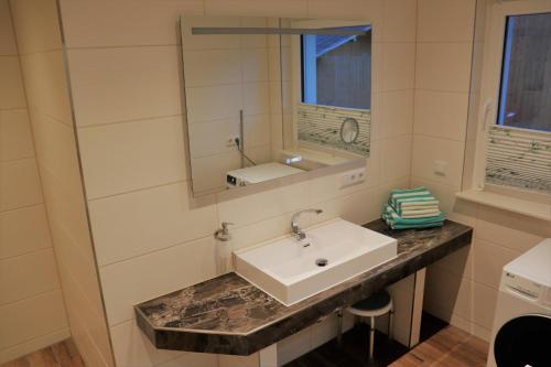 uma casa de banho com um lavatório e um espelho em Naturferienhof Märkisch Luch 