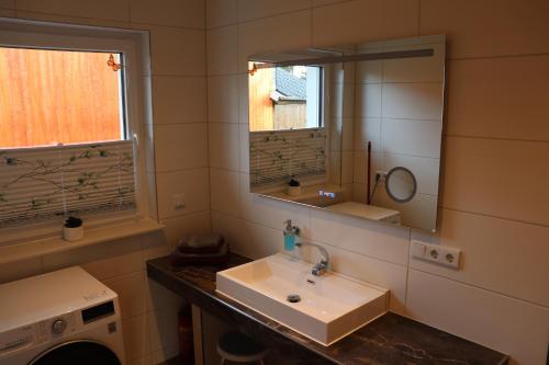 a bathroom with a sink and a mirror at Naturferienhof Märkisch Luch - a64537 