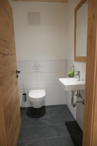 a bathroom with a toilet and a sink at Gästehaus Oben am Berg in Balderschwang