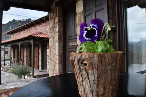 a purple flower sitting on top of a tree stump at Paliokastro Guesthouse in Kato Trikala Korinthias
