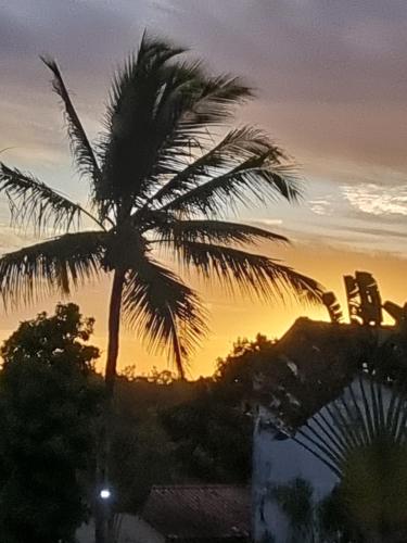 una palmera frente a una puesta de sol en Pousada Mikaela Arraial, en Arraial d'Ajuda