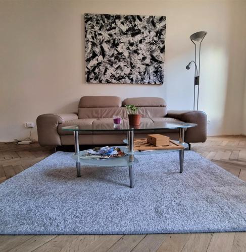 Cheb central apartment
