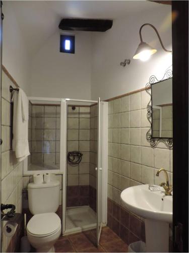 a bathroom with a toilet and a shower and a sink at El Rincón Maragato in Castrillo De Los Polvazares