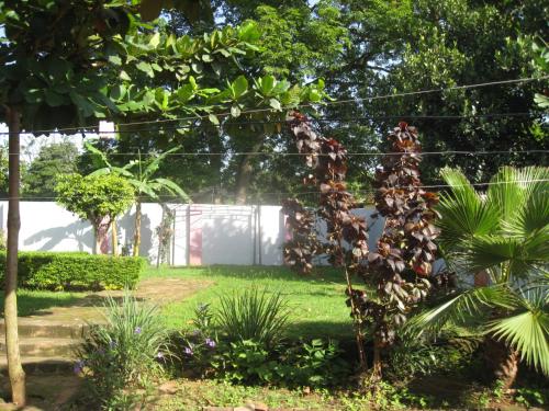 einen Garten mit Pflanzen und Bäumen in der Unterkunft R&R Gardens Hotel in Mbale