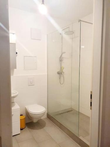 a bathroom with a toilet and a glass shower at Lovely apartament in Mitte Berlin 2021 in Berlin