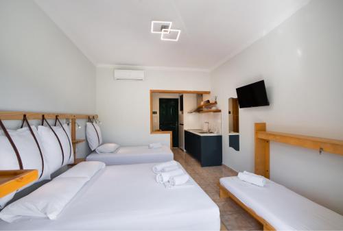 a room with two beds and a tv at Nikolas Studios in Agios Nikitas