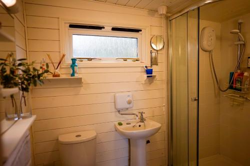 ein kleines Bad mit einem Waschbecken und einem WC in der Unterkunft Seagrove Beach Cabin in Seaview