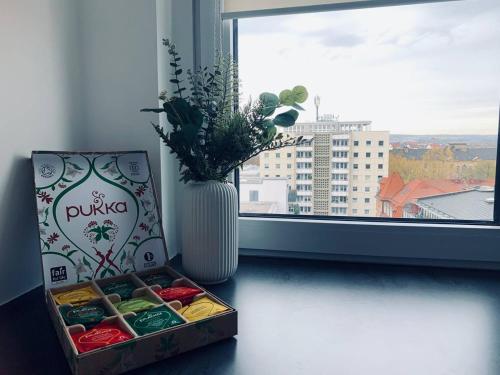 a box of food sitting on a table next to a window at Apartment mit Penthouse Charakter in Dresden in Dresden