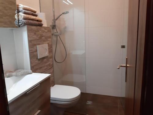 ein Bad mit einer Dusche, einem WC und einem Waschbecken in der Unterkunft Florianihof Sankt Marxen 