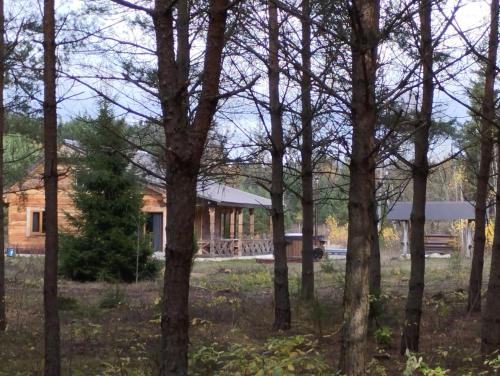 a house in the woods with trees in the foreground at Piglet house in Alytus
