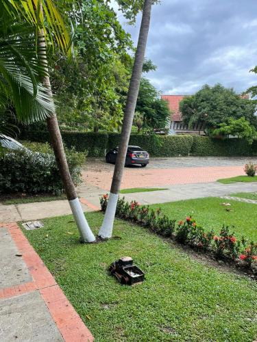 a pair of shoes sitting on the grass near two palm trees at Cabaña en santafe de Antioquia in Santa Fe de Antioquia