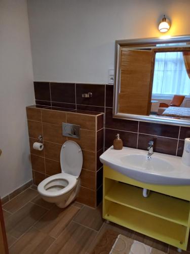 a bathroom with a toilet and a sink and a mirror at Meller-kastély Villa in Csurgó