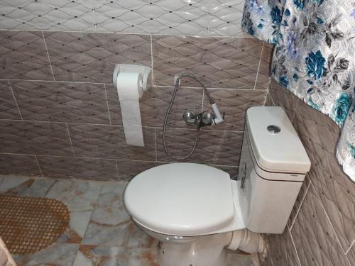 a bathroom with a toilet and a roll of toilet paper at Ra Guest house in Cairo