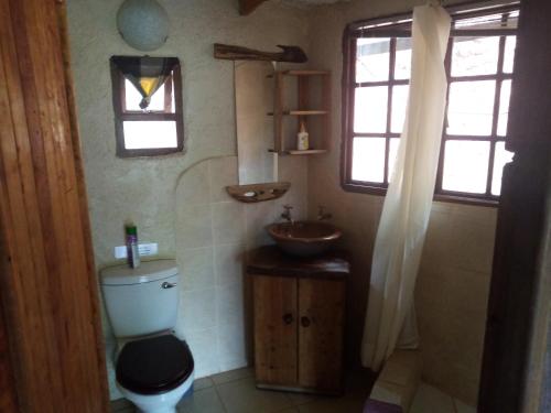 a bathroom with a toilet and a sink and windows at Bushwhacked Barberton in Barberton