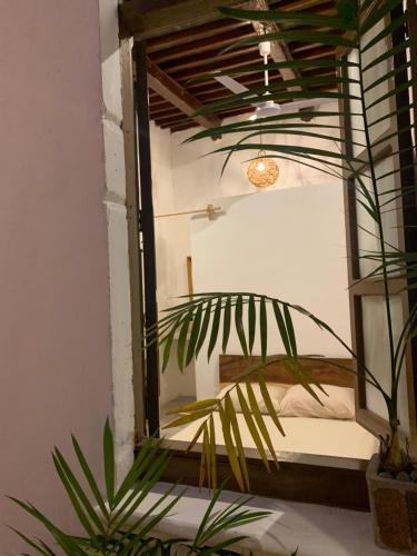 a bedroom with a mirror and a plant at Casa Mediterranea in Campeche