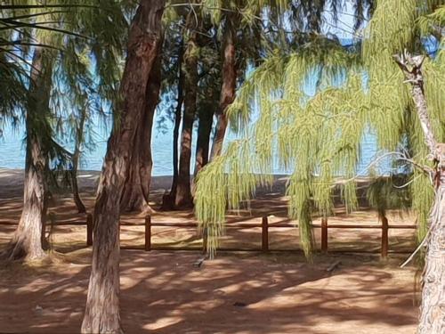 a park with a wooden bench under some trees at Beachfront Apartment(roadside- 30 meters to beach) in Flic-en-Flac