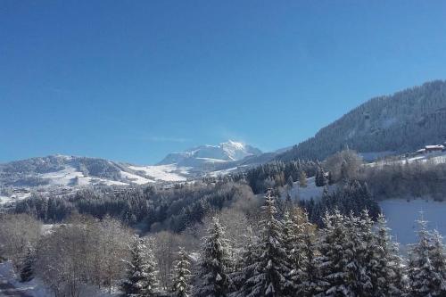 L'établissement Chalet vue Mont-Blanc, +4 Chambres, cheminée en hiver
