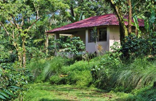 a small house with a red roof in a forest at Argovia Ecolodge in Tapachula