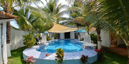 een zwembad met stoelen en een palmboom bij Mi Pequeño Cielo 