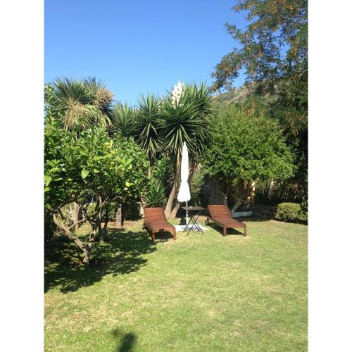Blu Marlin Apartment Capri – Photos 3
