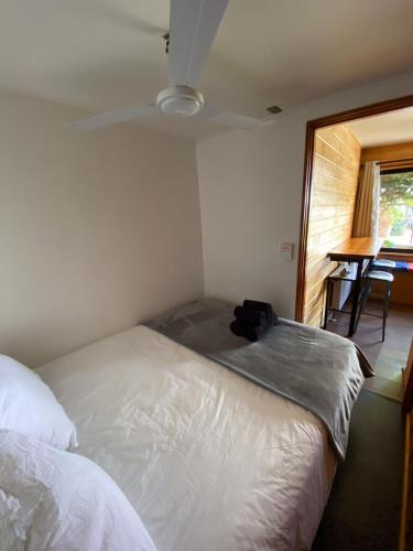 a bedroom with a bed and a table and a window at French Andes Apart Hostel in Pucón