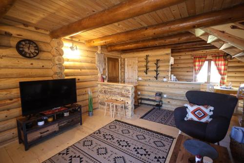 Wohnzimmer eines Blockhauses mit einem Flachbild-TV in der Unterkunft Brvnara Pahuljica Zlatar in Nova Varoš