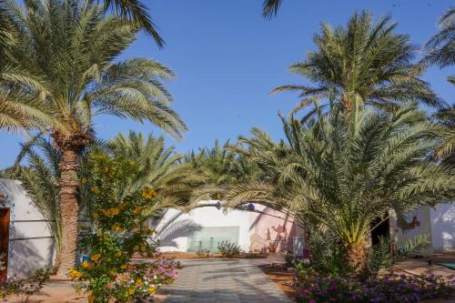 Zahrada ubytování Miramar Camp Dahab