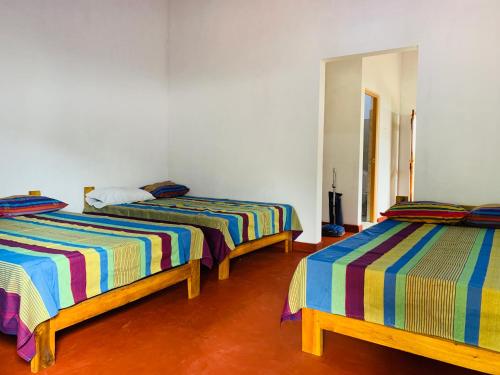 Habitación con 3 camas con sábanas a rayas en Coco Garden Holiday Homes, en Anuradhapura