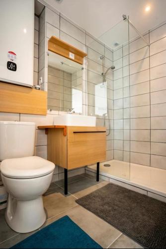 une salle de bain avec toilettes, lavabo et douche dans l'établissement Sète : Superbe appartement 2 pièces refait à neuf, à Sète