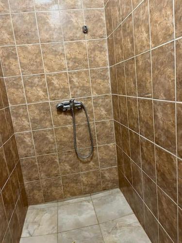 y baño alicatado con ducha y manguera. en Bada Bing Plaza, en Bratislava