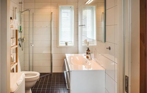Golsfjellet的住宿－Gorgeous Apartment In Gol With Wifi，一间带水槽和卫生间的浴室