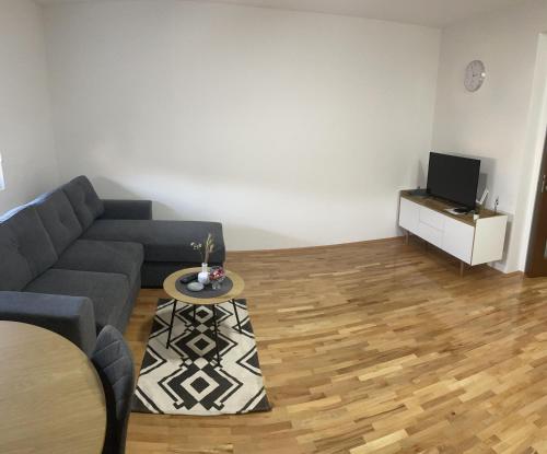 - un salon avec un canapé et une télévision dans l'établissement SP Apartmani FREE PARKING, à Vranje