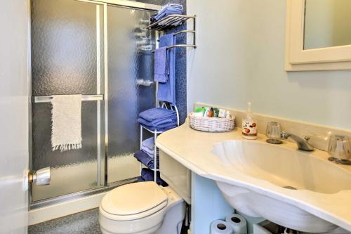 e bagno con servizi igienici, lavandino e doccia. di Vintage Galveston Apt Less Than half Mi to Porretto Beach! a Galveston