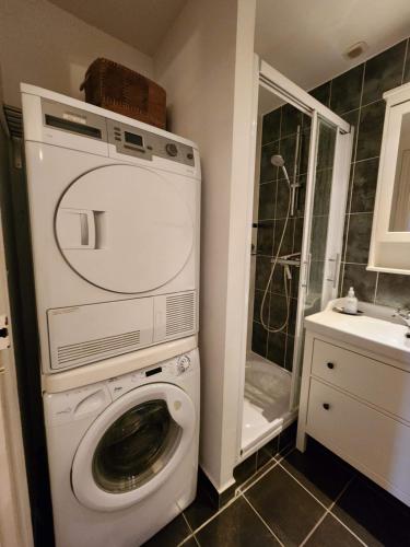 y baño con ducha y lavadora. en Apartment Bonnard - best view in Dijon, en Dijon