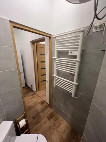 a bathroom with a toilet in a room at Paris Apartments in Katowice
